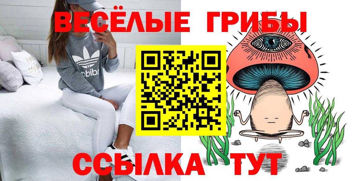 Волоколамск  Галлюциногенные грибы MAGIC MUSHROOMS  Галлюциногенные грибы прущие грибы  Вход с VPN 